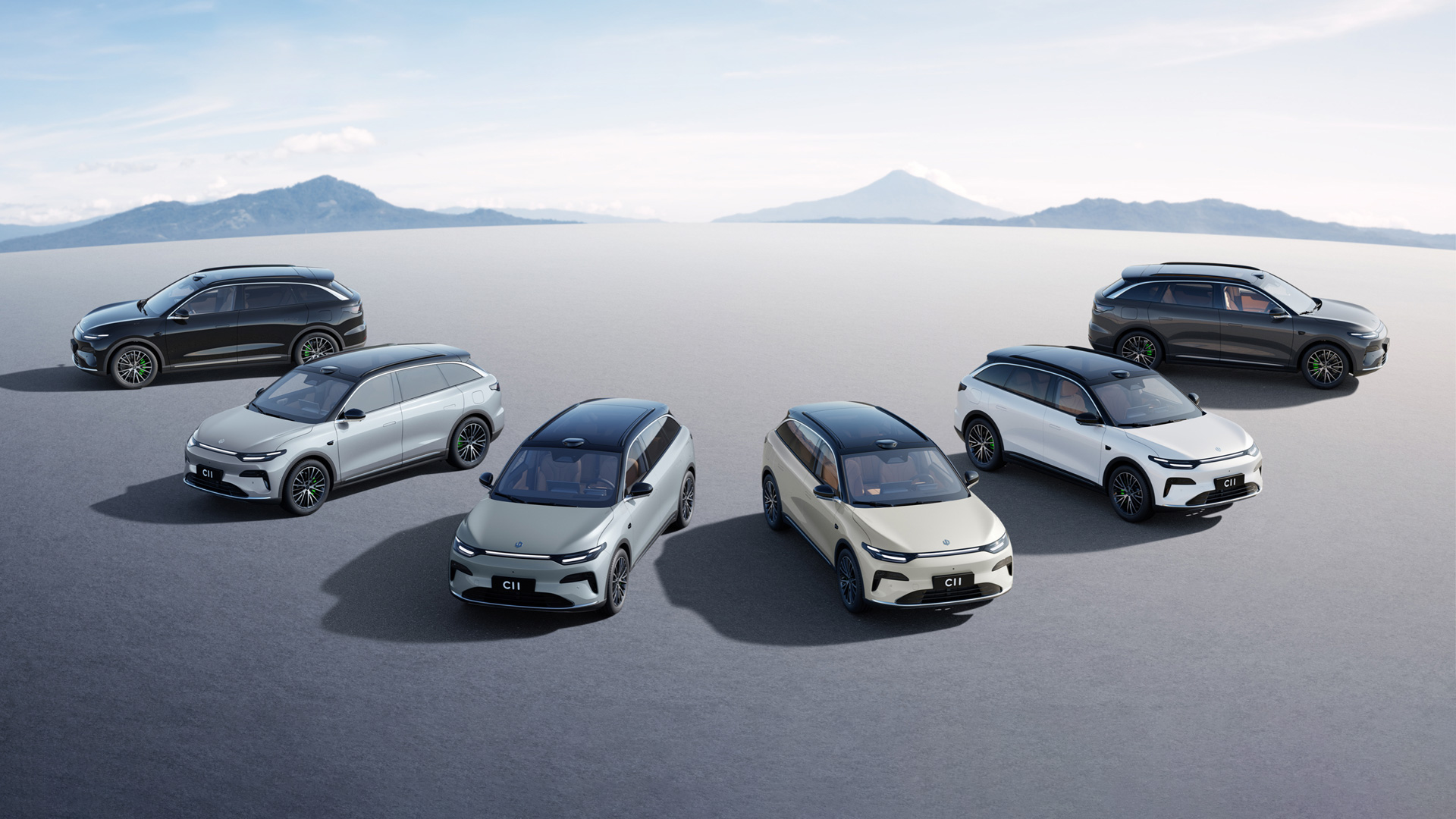 Гибрид Leap Motor C11 DM